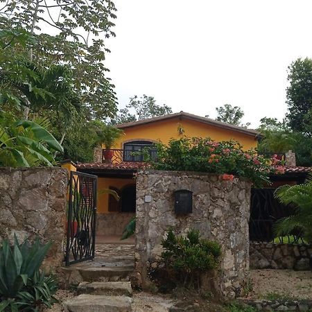 トゥルム Casa Mango Bed & Breakfast エクステリア 写真