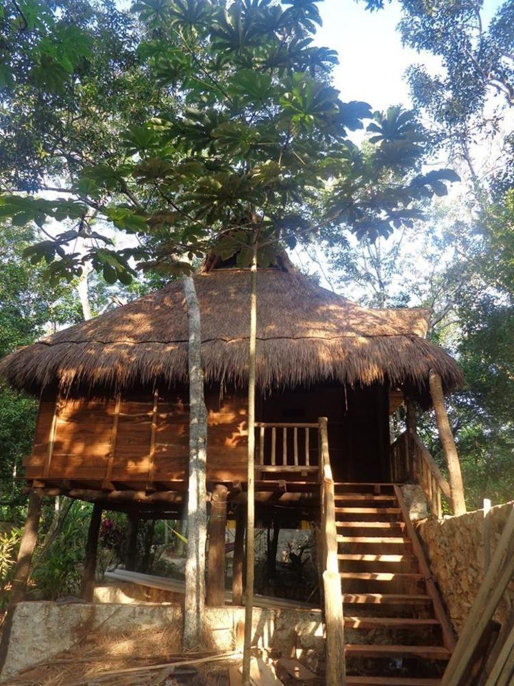 トゥルム Casa Mango Bed & Breakfast エクステリア 写真