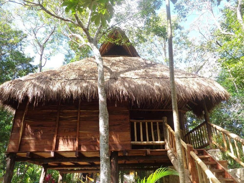 トゥルム Casa Mango Bed & Breakfast エクステリア 写真