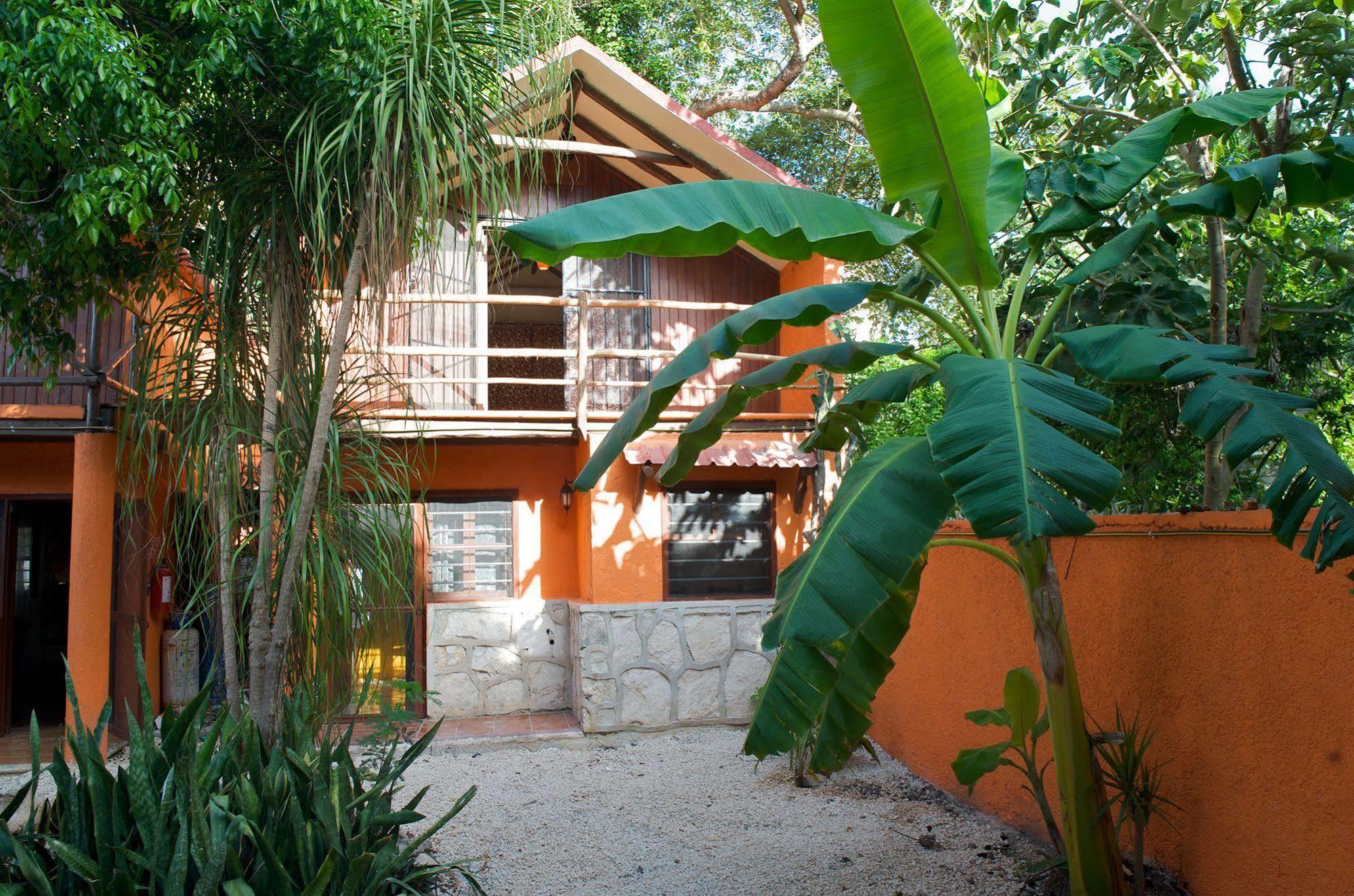 トゥルム Casa Mango Bed & Breakfast エクステリア 写真