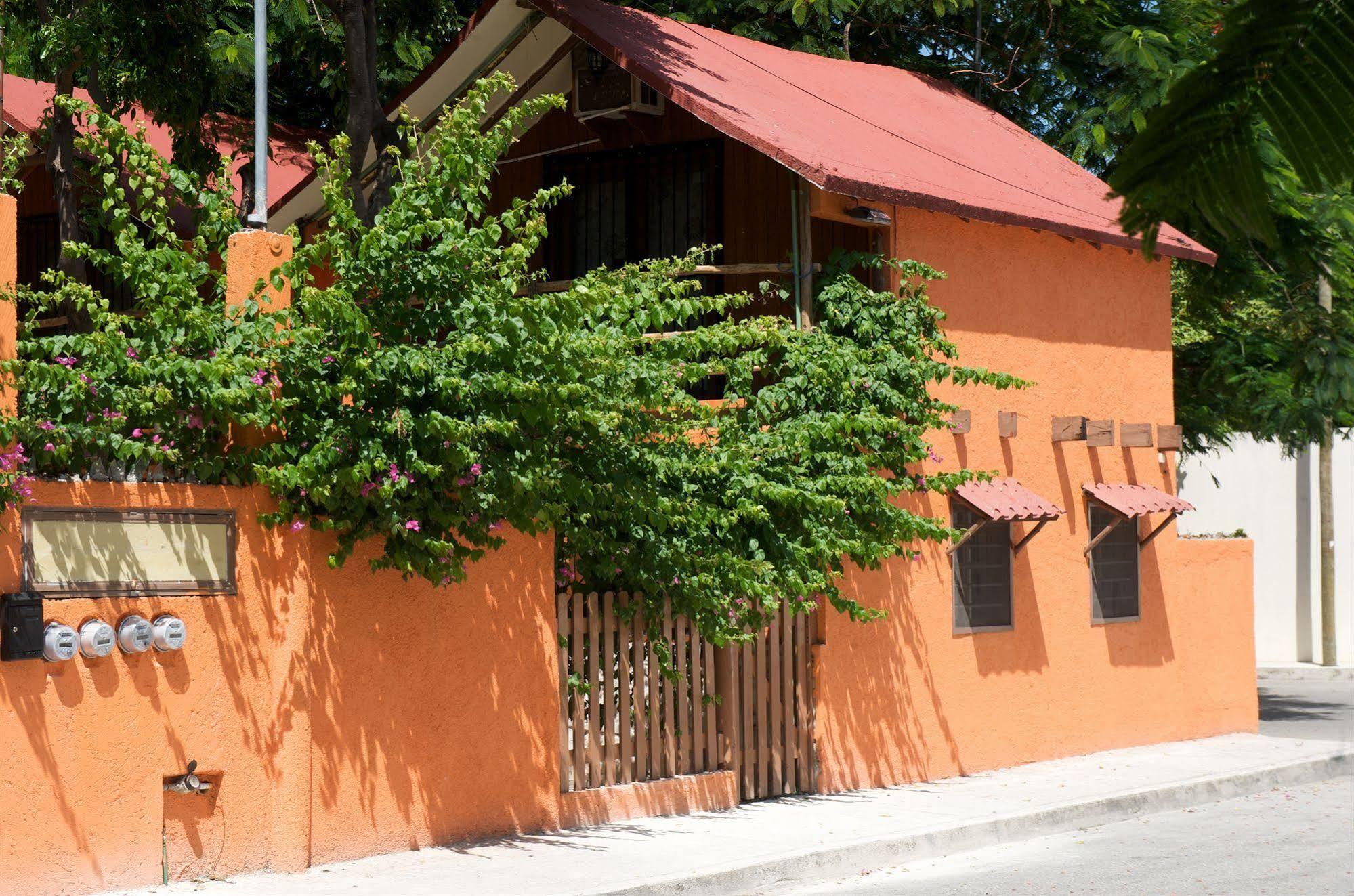 トゥルム Casa Mango Bed & Breakfast エクステリア 写真
